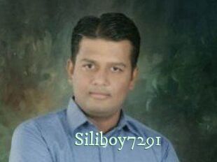 Siliboy7291