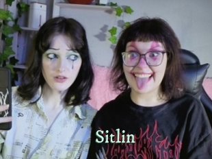 sitlin Top Blog X