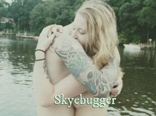 Skyebugger