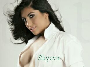 skyeva Top Blog X