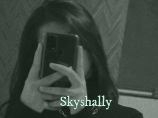 skyshally Top Blog X
