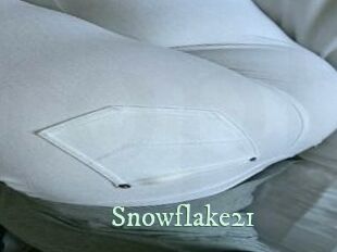 Snowflake21
