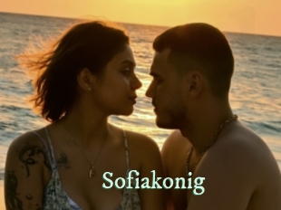 sofiakonig Top Blog X