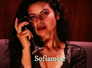 sofiameer Top Blog X