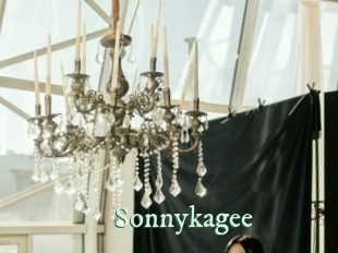 sonnykagee Top Blog X