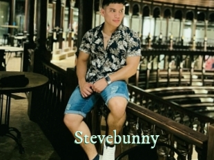 stevebunny Top Blog X