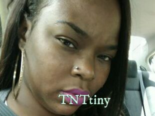 T_N_Ttiny