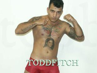 TODDFITCH Top Blog X