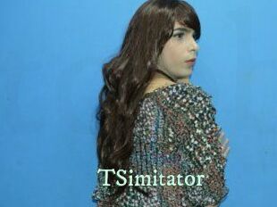 TSimitator