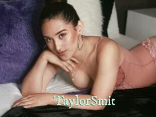 TaylorSmit Top Blog X