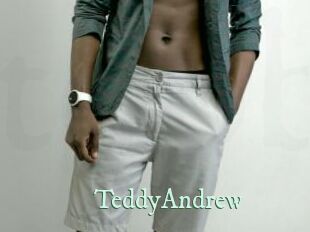 TeddyAndrew Top Blog X