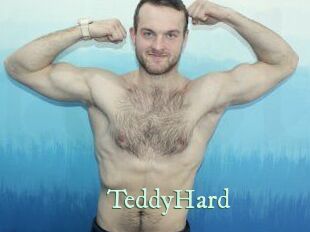 TeddyHard Top Blog X
