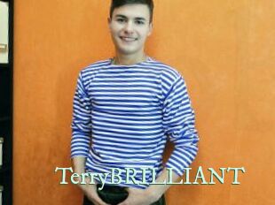 TerryBRILLIANT Top Blog X