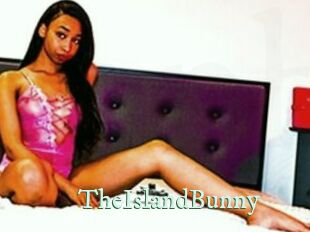 TheIslandBunny Top Blog X