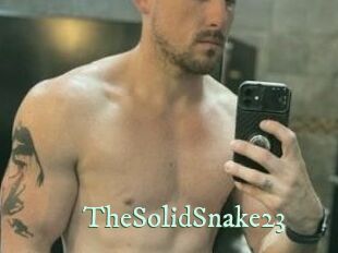 TheSolidSnake23 Top Blog X