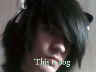 This_is_dog
