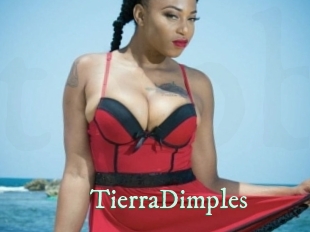 TierraDimples Top Blog X