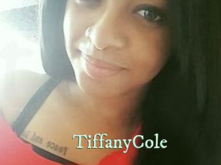 TiffanyCole Top Blog X