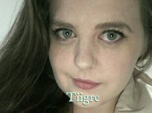 Tiigre_ Top Blog X