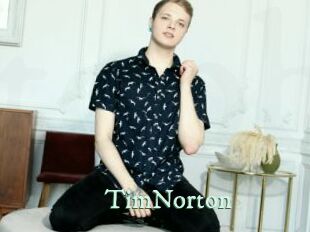 TimNorton Top Blog X