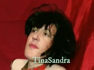TinaSandra Top Blog X