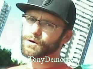 TonyDemonte Top Blog X