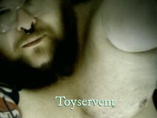 Toyservent Top Blog X