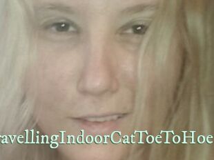 TravellingIndoorCatToeToHoe