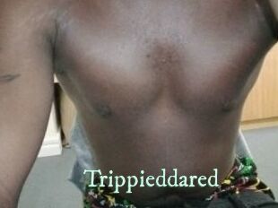 Trippieddared