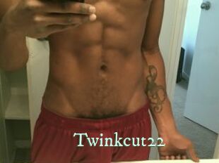 Twinkcut22