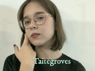 taitegroves Top Blog X