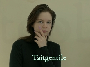 taitgentile Top Blog X