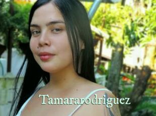 tamararodriguez Top Blog X