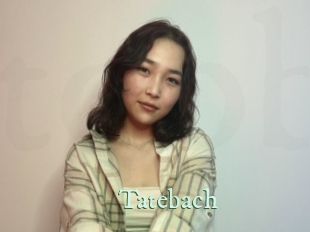 Tatebach