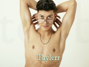 taylerr Top Blog X