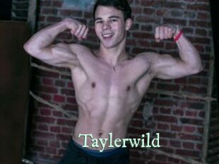 Taylerwild