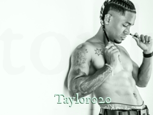 taylor020 Top Blog X