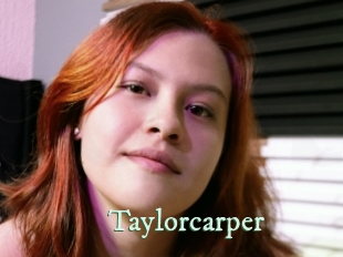 taylorcarper Top Blog X
