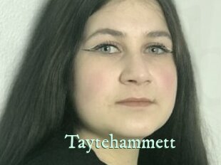 Taytehammett