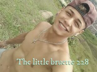 The_little_bruette_228