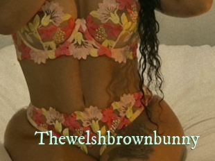 thewelshbrownbunny Top Blog X