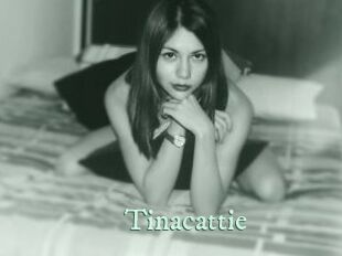 tinacattie Top Blog X