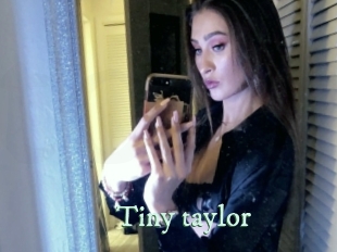 Tiny_taylor