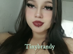 Tinybrandy