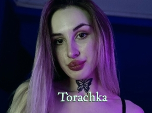 torachka Top Blog X