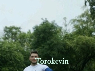 torokevin Top Blog X