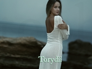 torydii Top Blog X