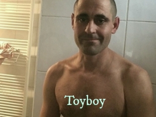 toyboy Top Blog X