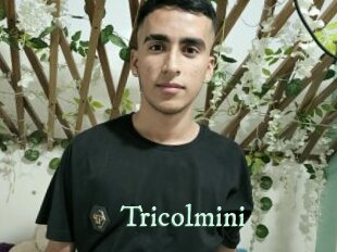 tricolmini Top Blog X