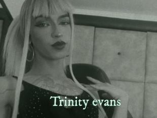 trinity_evans Top Blog X